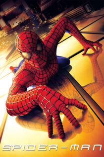 Spider Man 1 2002 1
