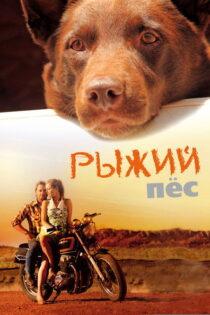 دانلود فیلم Red Dog 2011 سگ قرمز