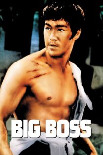 دانلود فیلم The Big Boss 1971 تانگ شان دا شیونگ (رئیس بزرگ)