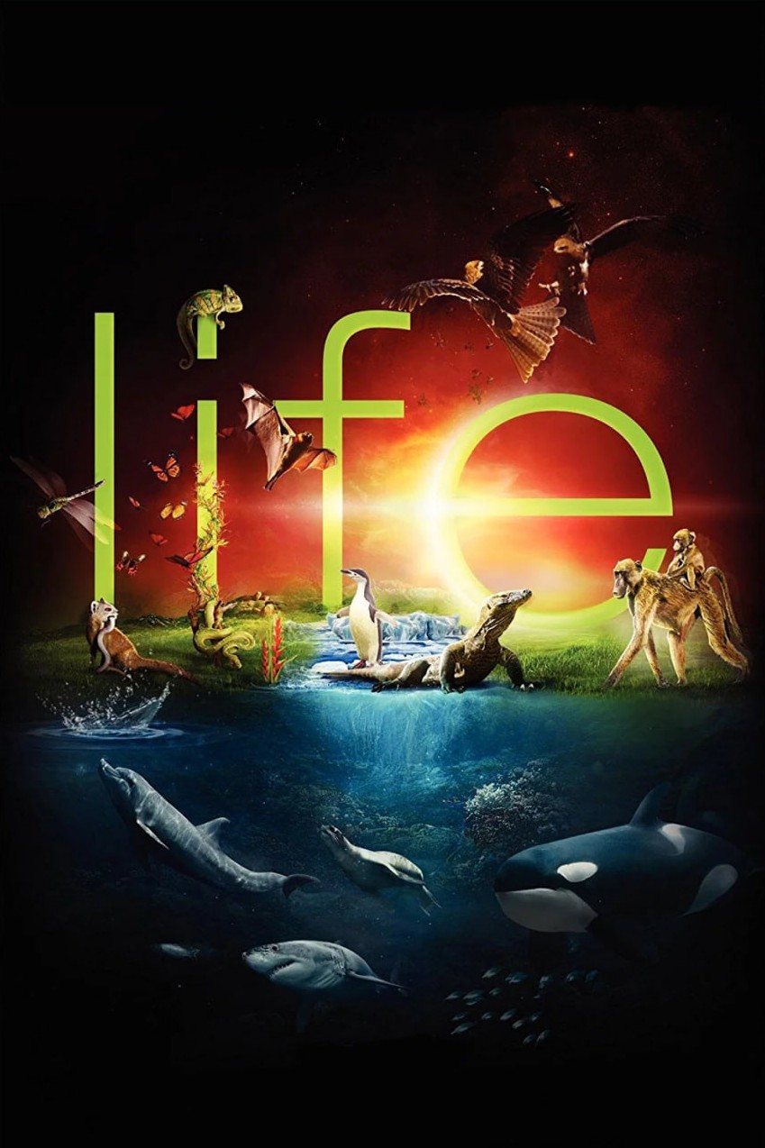 دانلود سریال Life زندگی