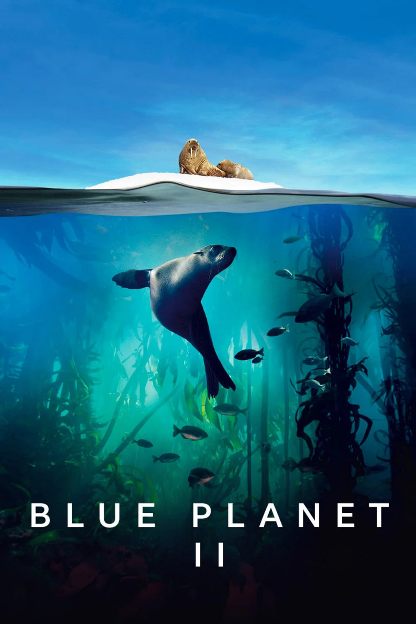 دانلود سریال Blue Planet II سیاره آبی ۲